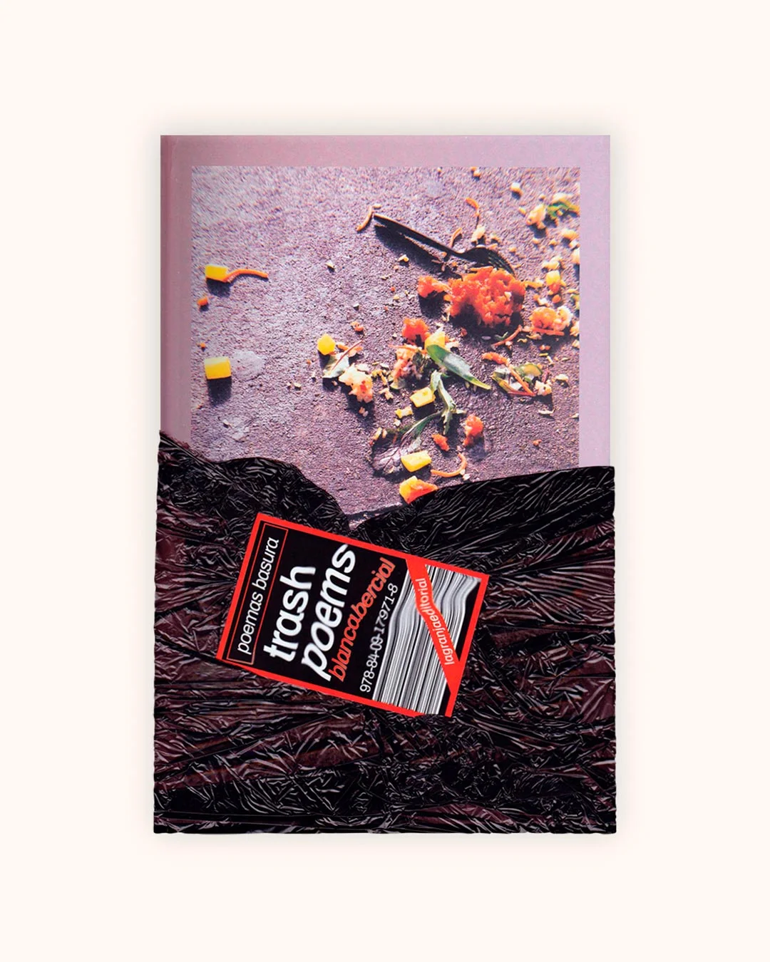 trash poems - Blanca Bercial