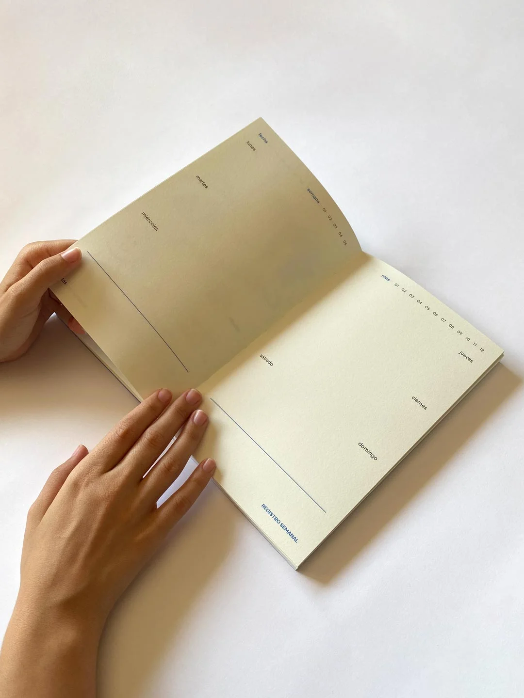 Agendas atemporales para personas creativas que necesitan gestionarse a su propio ritmo.