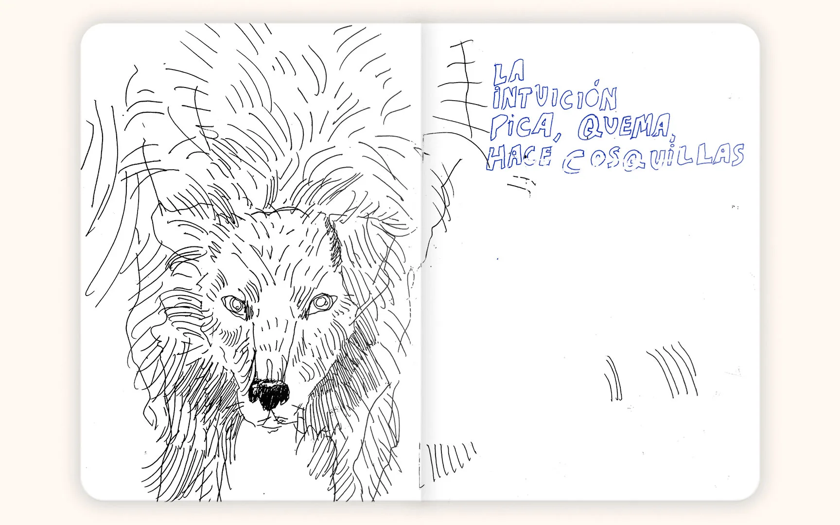 Páginas interiores de Siempre quise hablar con los animales, Libro ilustrado de Lucía Coz, editado por La Granja Editorial